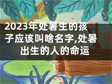 2023年处暑生的孩子应该叫啥名字,处暑出生的人的命运