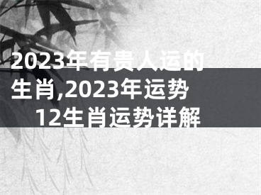 2023年有贵人运的生肖,2023年运势12生肖运势详解