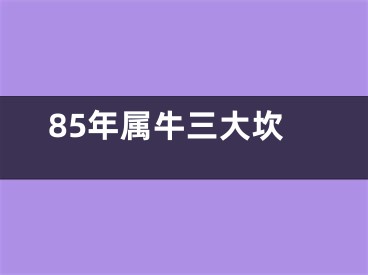 85年属牛三大坎