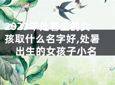 2023年处暑生的女孩取什么名字好,处暑出生的女孩子小名