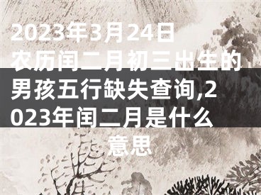 2023年3月24日农历闰二月初三出生的男孩五行缺失查询,2023年闰二月是什么意思