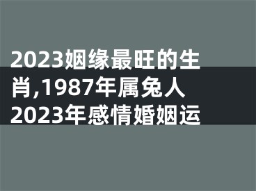 2023姻缘最旺的生肖,1987年属兔人2023年感情婚姻运