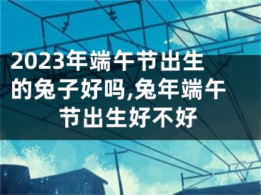 2023年端午节出生的兔子好吗,兔年端午节出生好不好