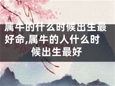 属牛的什么时候出生最好命,属牛的人什么时候出生最好