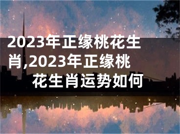 2023年正缘桃花生肖,2023年正缘桃花生肖运势如何