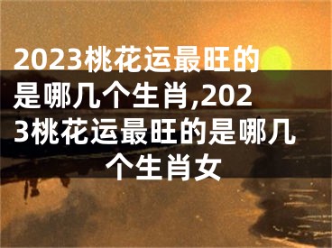 2023桃花运最旺的是哪几个生肖,2023桃花运最旺的是哪几个生肖女