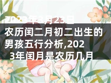 2023年3月23日农历闰二月初二出生的男孩五行分析,2023年闰月是农历几月