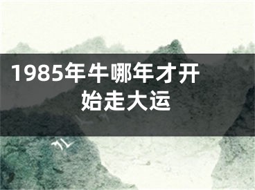 1985年牛哪年才开始走大运