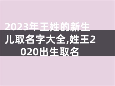 2023年王姓的新生儿取名字大全,姓王2020出生取名