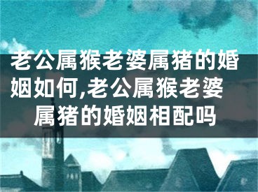 老公属猴老婆属猪的婚姻如何,老公属猴老婆属猪的婚姻相配吗