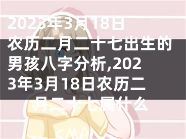 2023年3月18日农历二月二十七出生的男孩八字分析,2023年3月18日农历二月二十七属什么