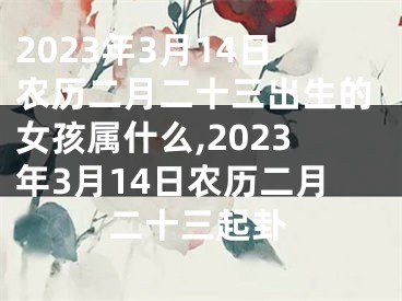 2023年3月14日农历二月二十三出生的女孩属什么,2023年3月14日农历二月二十三起卦