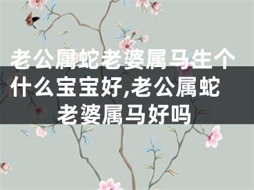 老公属蛇老婆属马生个什么宝宝好,老公属蛇老婆属马好吗