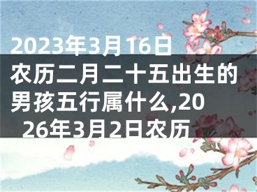 2023年3月16日农历二月二十五出生的男孩五行属什么,2026年3月2日农历