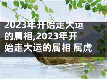 2023年开始走大运的属相,2023年开始走大运的属相 属虎