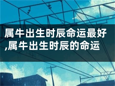 属牛出生时辰命运最好,属牛出生时辰的命运