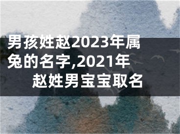 男孩姓赵2023年属兔的名字,2021年赵姓男宝宝取名