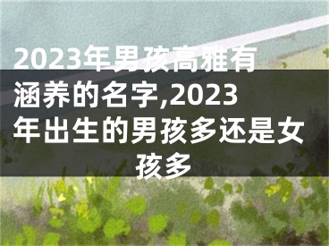 2023年男孩高雅有涵养的名字,2023年出生的男孩多还是女孩多