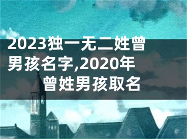 2023独一无二姓曾男孩名字,2020年曾姓男孩取名