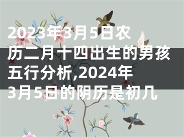 2023年3月5日农历二月十四出生的男孩五行分析,2024年3月5日的阴历是初几