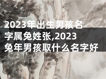 2023年出生男孩名字属兔姓张,2023兔年男孩取什么名字好