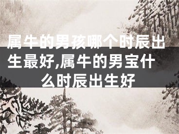 属牛的男孩哪个时辰出生最好,属牛的男宝什么时辰出生好