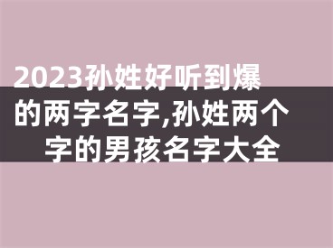 2023孙姓好听到爆的两字名字,孙姓两个字的男孩名字大全