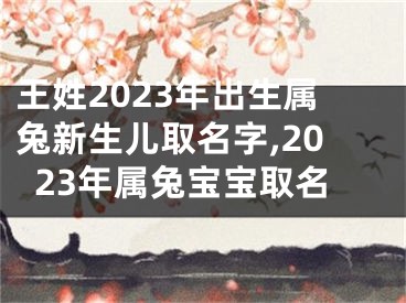 王姓2023年出生属兔新生儿取名字,2023年属兔宝宝取名