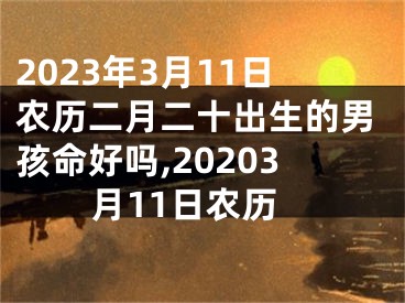 2023年3月11日农历二月二十出生的男孩命好吗,20203月11日农历