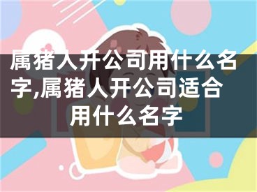 属猪人开公司用什么名字,属猪人开公司适合用什么名字