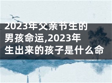 2023年父亲节生的男孩命运,2023年生出来的孩子是什么命