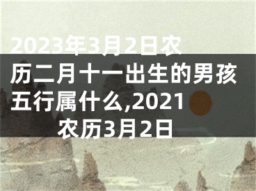 2023年3月2日农历二月十一出生的男孩五行属什么,2021农历3月2日