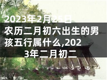 2023年2月25日农历二月初六出生的男孩五行属什么,2023年二月初二