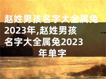 赵姓男孩名字大全属兔2023年,赵姓男孩名字大全属兔2023年单字