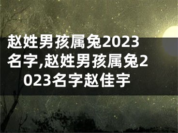 赵姓男孩属兔2023名字,赵姓男孩属兔2023名字赵佳宇