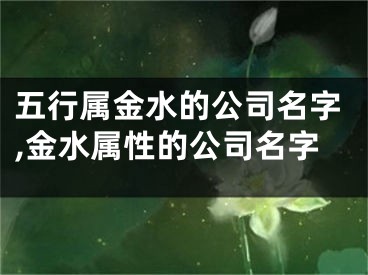 五行属金水的公司名字,金水属性的公司名字