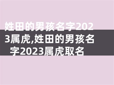 姓田的男孩名字2023属虎,姓田的男孩名字2023属虎取名