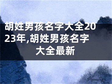 胡姓男孩名字大全2023年,胡姓男孩名字大全最新