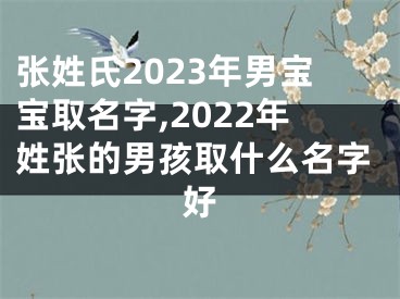 张姓氏2023年男宝宝取名字,2022年姓张的男孩取什么名字好