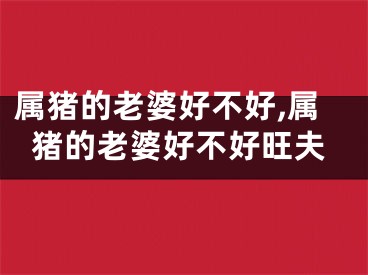 属猪的老婆好不好,属猪的老婆好不好旺夫