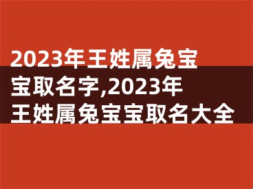 2023年王姓属兔宝宝取名字,2023年王姓属兔宝宝取名大全