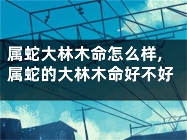 属蛇大林木命怎么样,属蛇的大林木命好不好