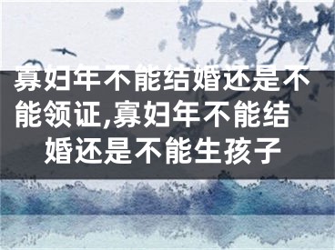 寡妇年不能结婚还是不能领证,寡妇年不能结婚还是不能生孩子