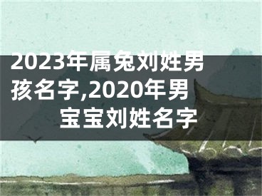 2023年属兔刘姓男孩名字,2020年男宝宝刘姓名字