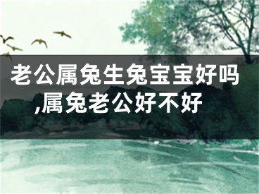 老公属兔生兔宝宝好吗,属兔老公好不好