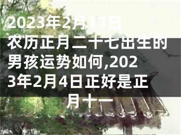 2023年2月17日农历正月二十七出生的男孩运势如何,2023年2月4日正好是正月十一