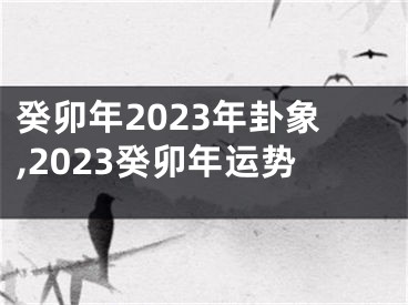 癸卯年2023年卦象,2023癸卯年运势