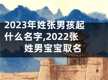 2023年姓张男孩起什么名字,2022张姓男宝宝取名