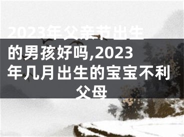 2023年父亲节出生的男孩好吗,2023年几月出生的宝宝不利父母