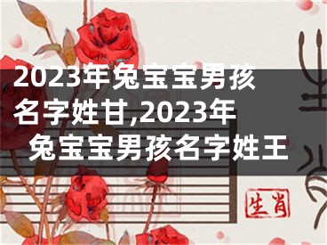 2023年兔宝宝男孩名字姓甘,2023年兔宝宝男孩名字姓王